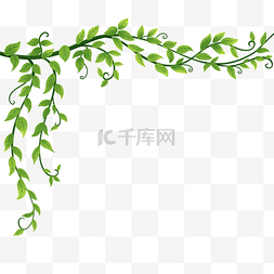 植物图片_清晰叶子藤蔓植物绿植