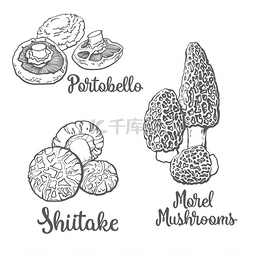 多巴胺背景元素图片_波多贝罗、 羊肚菌和香菇食用菌