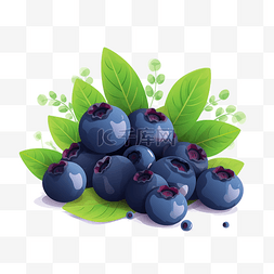 蓝莓手绘图片_夏季扁平卡通风手绘蓝莓