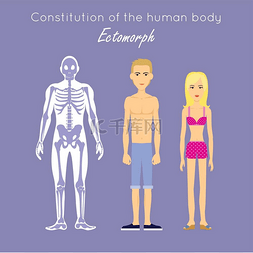 人体体质图片_人体构成电子照相外生的人体的构