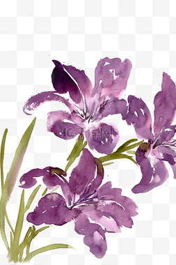 盛开的紫色花朵图片_盛开的菖蒲