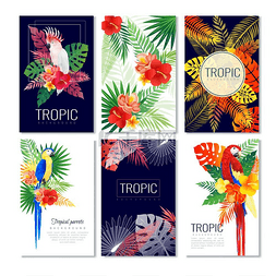 热带设计卡片系列热带鹦鹉卡片由