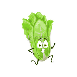 大白菜蔬菜卡通人物。