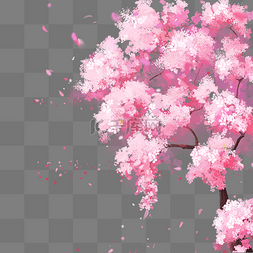 粉色樱花树图片_樱花树花瓣