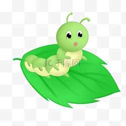 绿色桑叶蚕虫
