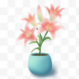 盆栽装饰图片_粉色可爱花朵室内植物盆栽