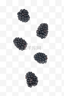 新鲜水果飞溅黑莓