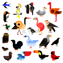 企鹅图片_猫头鹰和老鹰、燕子和蜂鸟、鹦鹉