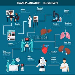 移植流程图布局与患者外科医生的