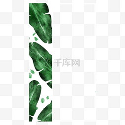 渐背景图片_边框水彩绿色植物instagram