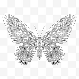 几何抽象黑白图片_线性风格几何黑白蝴蝶填色本