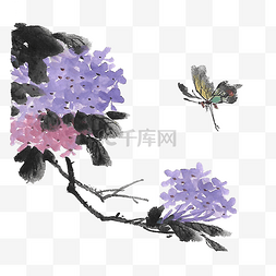 绣球花图片_水墨蝴蝶绣球花