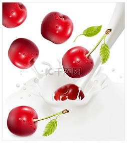 乳白色立体图片_落入乳白色飞溅的红樱桃成熟.