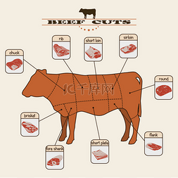 chart图片_Beef cuts