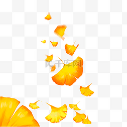 秋季银杏叶落叶秋天