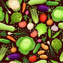 胡萝卜与蔬菜图片_模式与不同的新鲜蔬菜