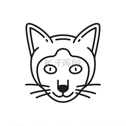 暹罗猫动物可爱的脸孤立的细线图