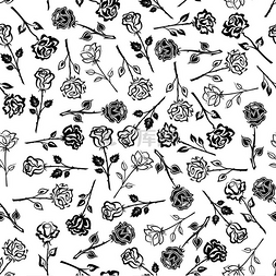 白色花瓣玫瑰图片_盛开的玫瑰黑白花卉无缝图案背景