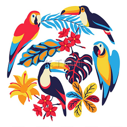 卡与金刚鹦鹉、 巨嘴鸟和热带植