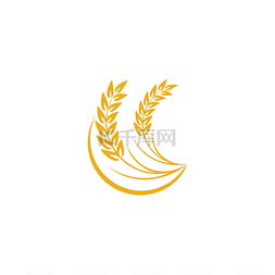 farm图片_Agriculture Wheat logo template vector icon d
