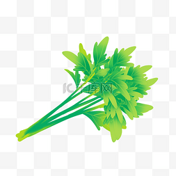 芹菜图片_素菜食物蔬菜芹菜