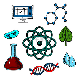 生物学平面概念设计，新鲜绿叶周