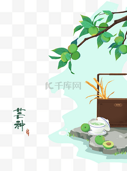 小麦穗图片_芒种节气青梅茶盏组合