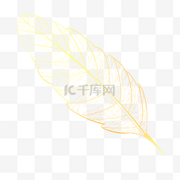 手绘植物时尚插画图片_光效金线婚礼叶子植物金色