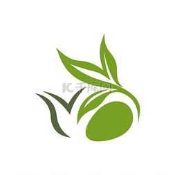绿茶叶子图片_热的锡兰或中国绿茶在杯子隔离标