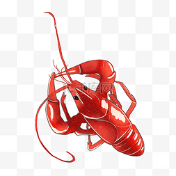 小龙虾海鲜图片_手绘夏天美食海鲜小龙虾