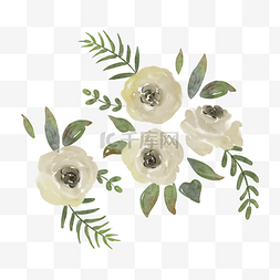 白色花卉插画图片_白玫瑰水彩晕染婚礼花卉