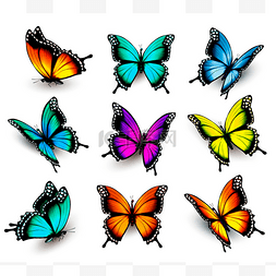 卡通的蝴蝶图片_五颜六色的蝴蝶，飞在其他的元素