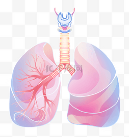 人体部头线稿图片_人体肺部蓝色