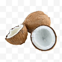 椰子树木素材图片_椰子椰子树椰汁摄影图
