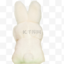 兔子白色