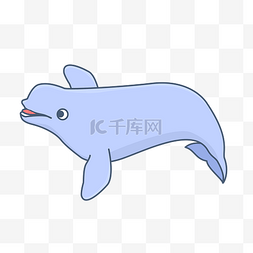 卡通动物可爱江豚珍稀生物