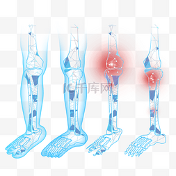 身体结构人体图片_光效身体关节腿部结构