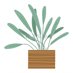 绿色和植物图片_绿色室内盆栽植物和花盆图标白色
