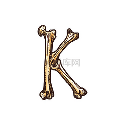 k字母图标图片_人骨的大写字母 K 孤立的怪异字母