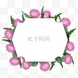 夏季促销图片_蓟花卉水彩自然边框