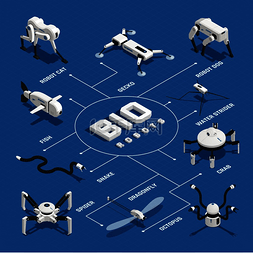 科学小动物图片_生物机器人等距流程图