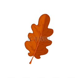 感恩节图片_秋天的橡树叶子秋天的橡树枯叶孤