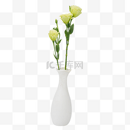 植物花瓶图片_洋桔梗花瓶室内摆件