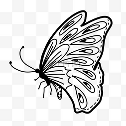 展翅欲飞的黑白线稿蝴蝶