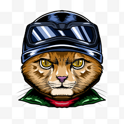 戴钢盔图片_戴头盔的漫画风格猫咪