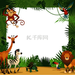 丛林动物卡片框架动物热带树叶问