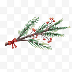 圣诞节松树装饰图片_圣诞节松树浆果树枝水彩