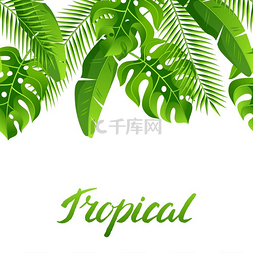 热带棕榈叶图片_与热带棕榈叶的无缝模式。
