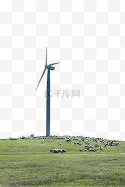 草原羊群图片_草原风力发电夏季羊群