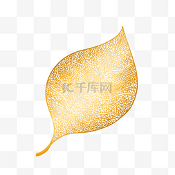金色镂空质感叶子